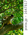 木陰