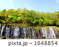 明神の滝