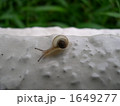 1649277