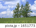 1651773