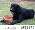 1653479