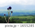 1655285