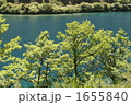 九賽溝