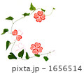 1656514