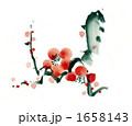 梅の花
