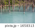 青い池