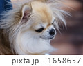 風になびく髪