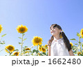 タカレナ0431