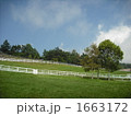 八ヶ岳の牧場