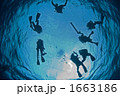 ブルークラッシュ