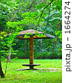 森林公園の東屋