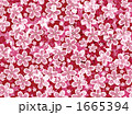 1665394