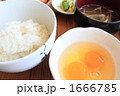 玉子かけご飯