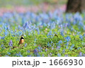 春色のなかで
