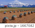 ニオと十勝岳