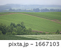 1667103