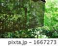 夏の庭