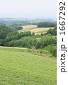 1667292