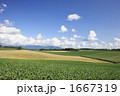 1667319