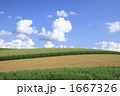 1667326