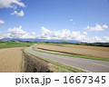丘の上の道