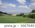 1667640