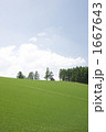 1667643