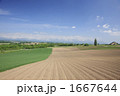 1667644