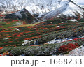初雪と紅葉