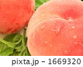 モモ
