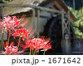 奈良　仏隆寺前の水車小屋と彼岸花