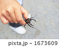 クワガタと子供