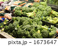 1673647