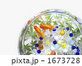 金魚