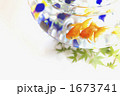 金魚