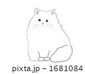 白いペルシャ猫ちょこんと座っておすまし顔