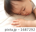 お昼ね中