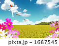 1687545