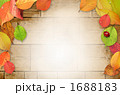 1688183