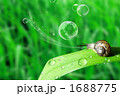 1688775