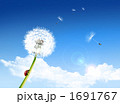 1691767