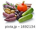 加賀野菜