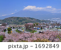 東名高速道路と富士山-6228