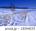 雪原に向かってⅡ