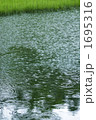 雨降りの池
