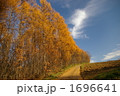 1696641
