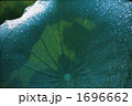 1696662