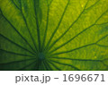 1696671