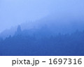 朝もやの山林