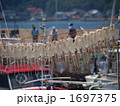 呼子のイカ日干し